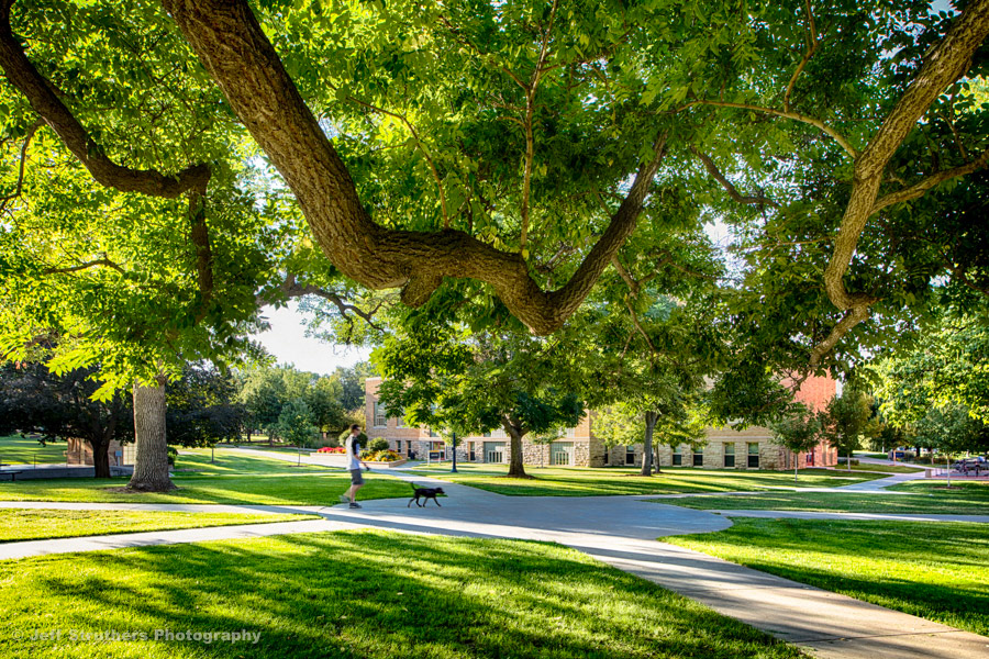 Park at UNC Campus - Greeley, CO
