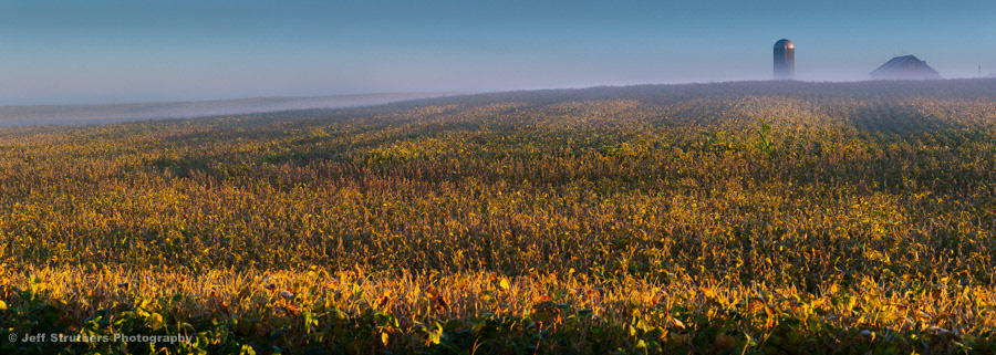 Foggy Farm Scene  -  Sycamore, IL
