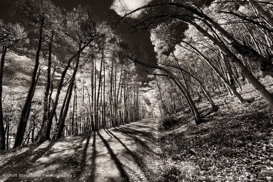 Boreas Pass - Black and White - Colorado