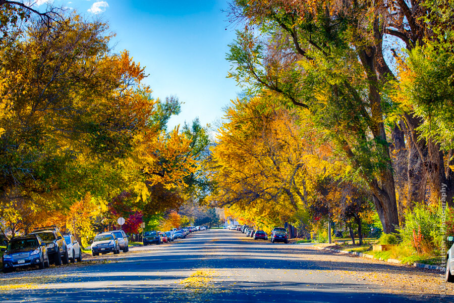 Edwards St. from Smith St.  - Fort Collins, CO