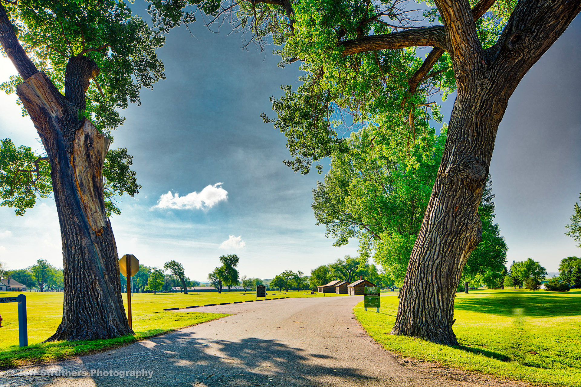 Ft Robinso Cottonwoods - Chadron, NE
