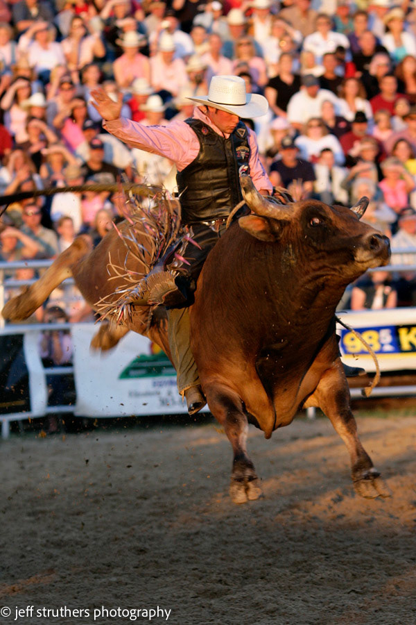 Bull rider - Elbert County, CO