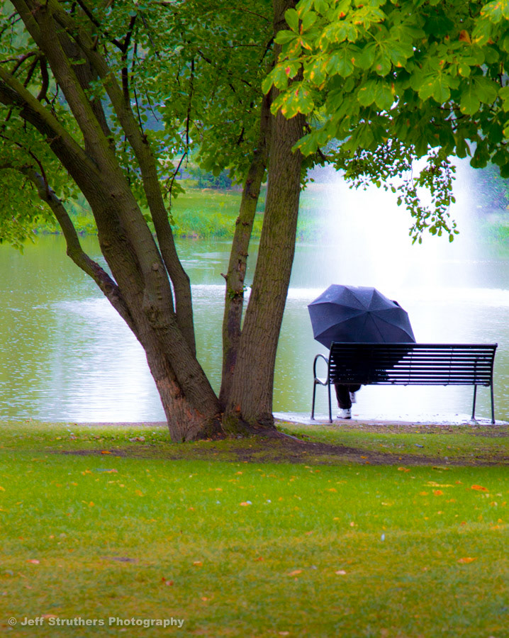 Rainy Day at the Lagoon - DeKalb, IL
