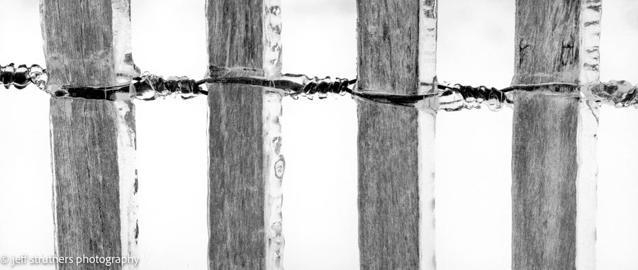 Ice Encased Picket Fence - Elbert County, CO