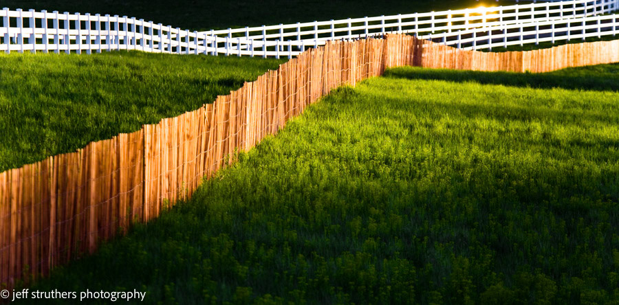 Pasture Fences - Elbert County, CO