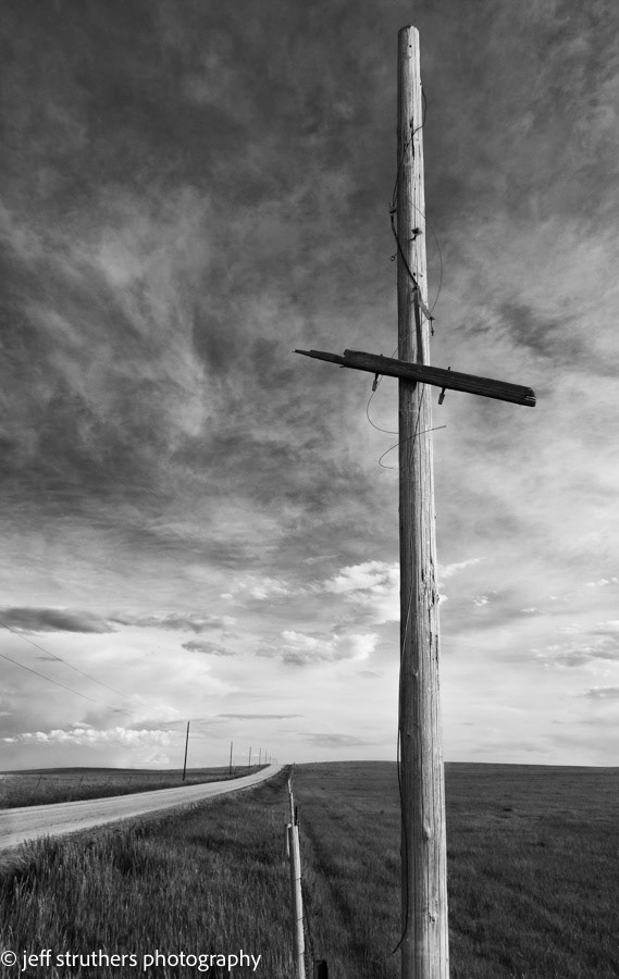 Retired Telephone Pole - Elbert County, CO