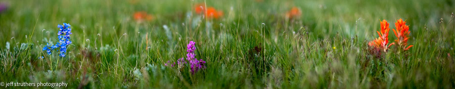 Blue, Purple and Orange on the Colorado Plains - Elbert County, CO