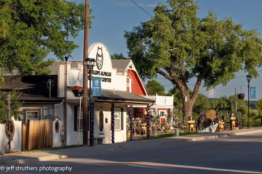 Antelope Alpacas - Main Street