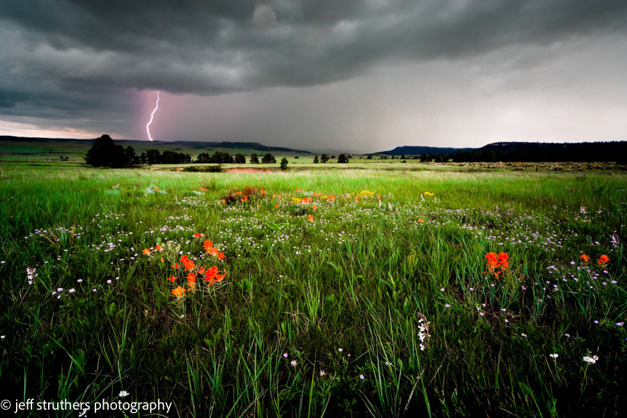 Elbert County Thunderstorm - Elbert County, CO