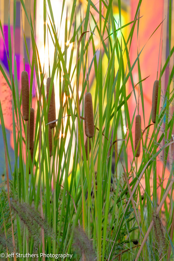 Museum at Prariefire and Reeds - Overland Park, KS