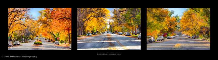 Fort Collins Autumn Streets Triptych - Fort Collins, CO