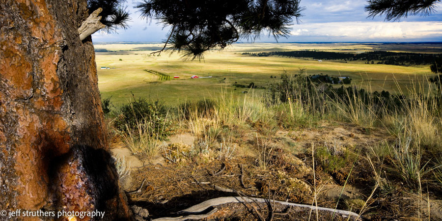 Bijou Basin and Pine Tree From Wedemeyer Road - Elbert County, CO