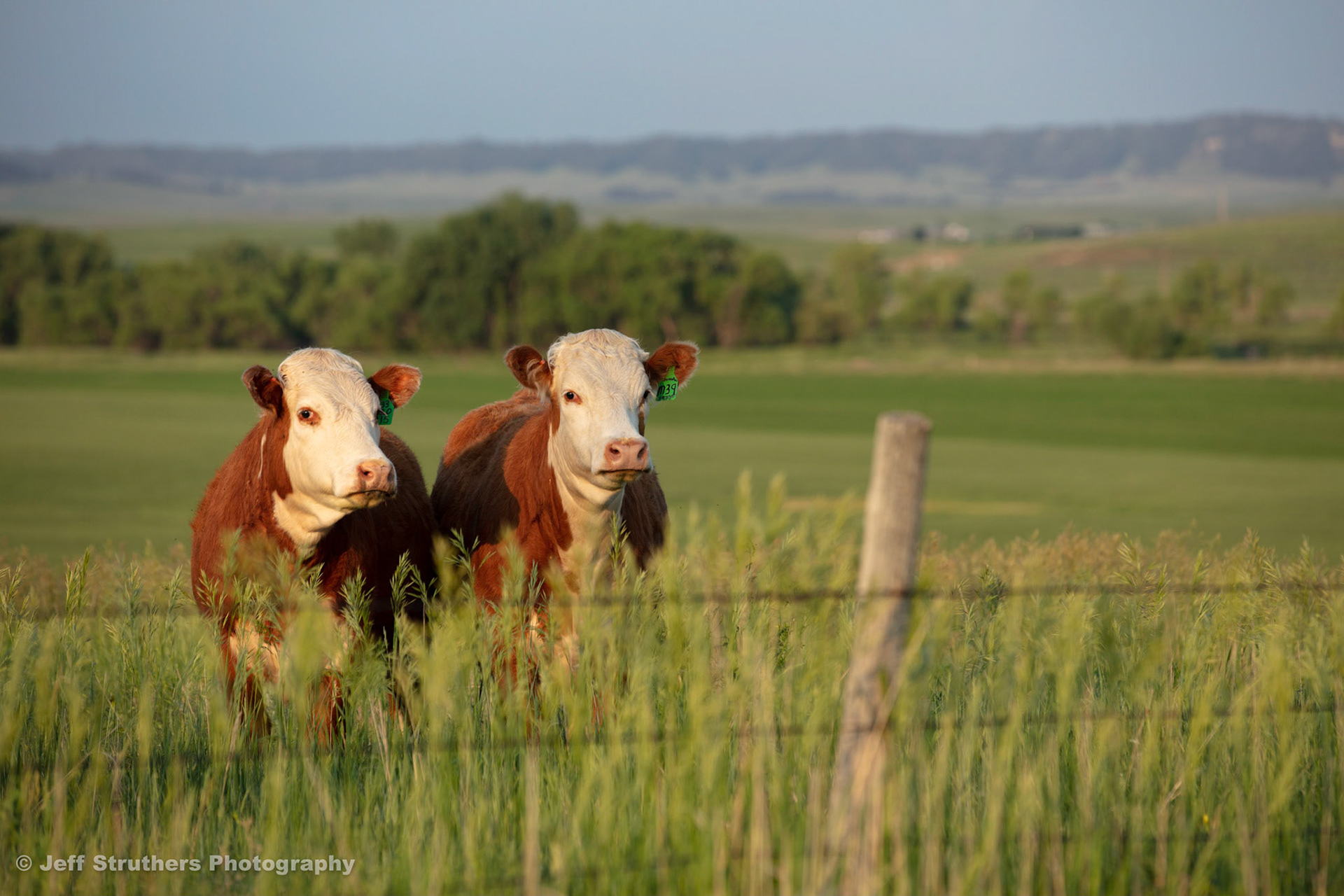 Ash-Creek-Rd - Chadron, NE