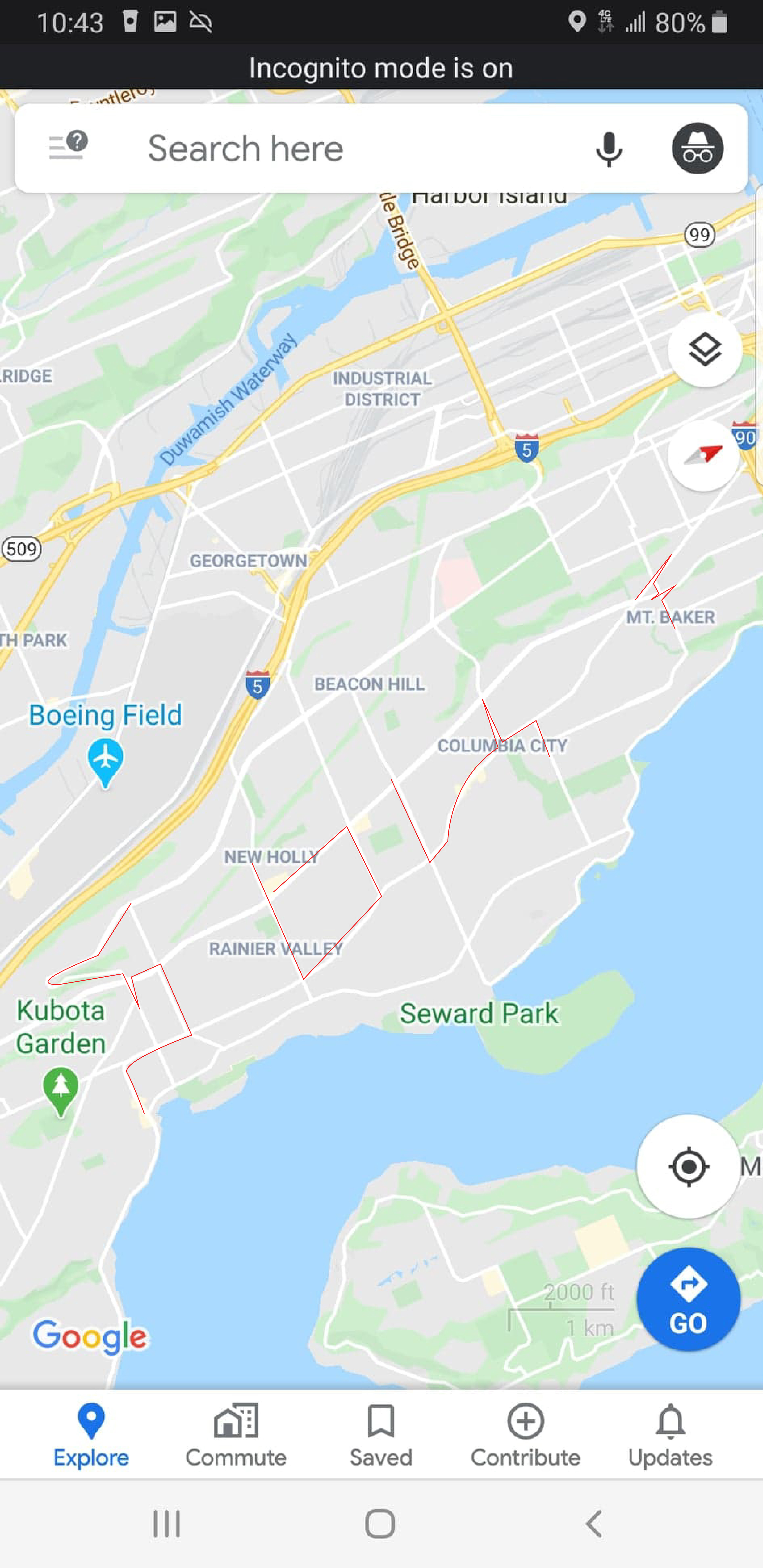 Map Of Souf Seattle with SOUF outline.