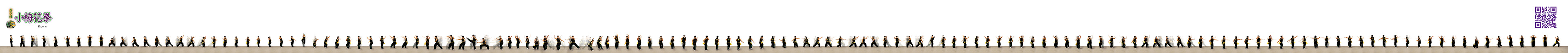 蔡李佛 - 小梅花拳 - 14' Scroll