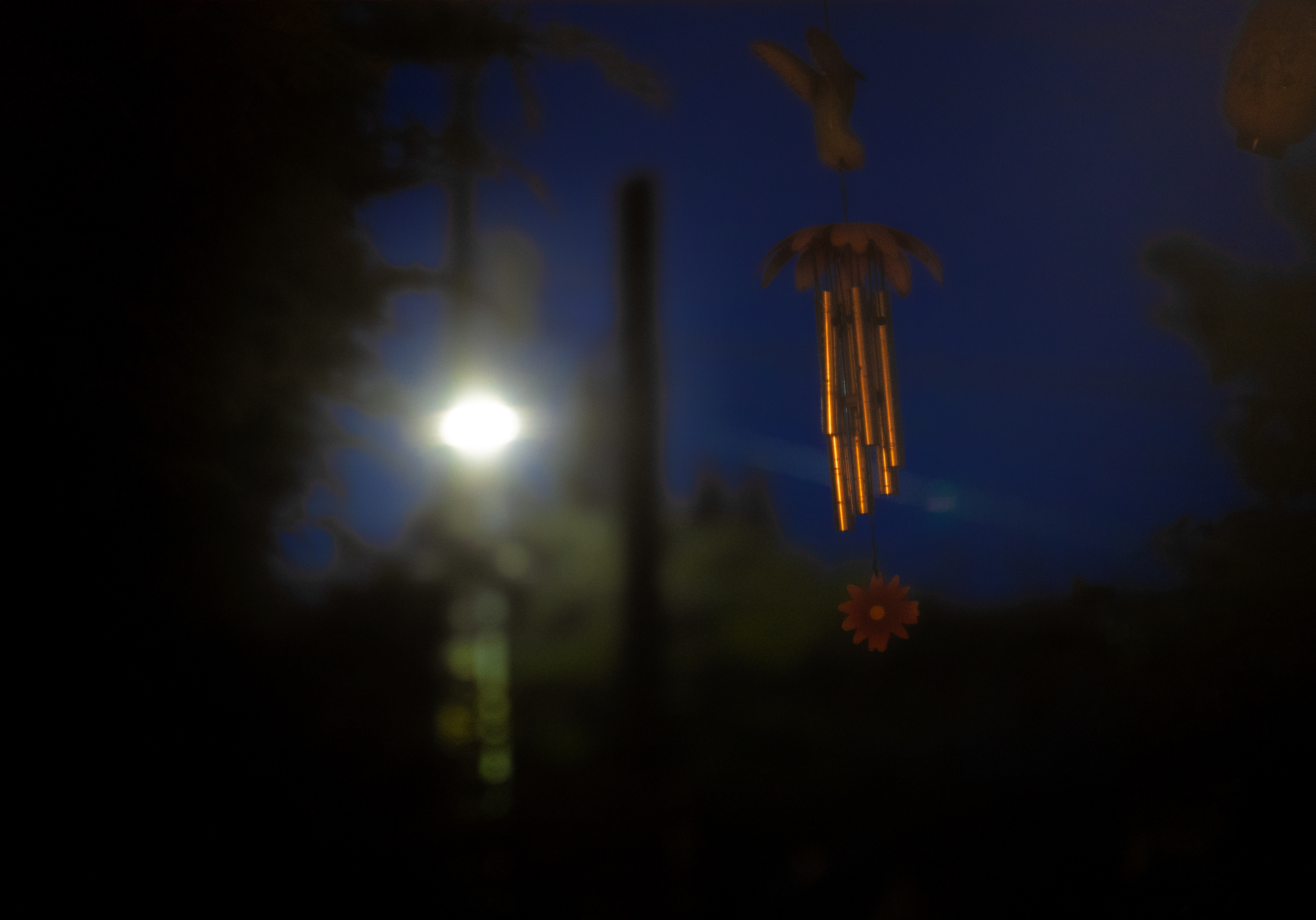 WINDOW SERENADE 3