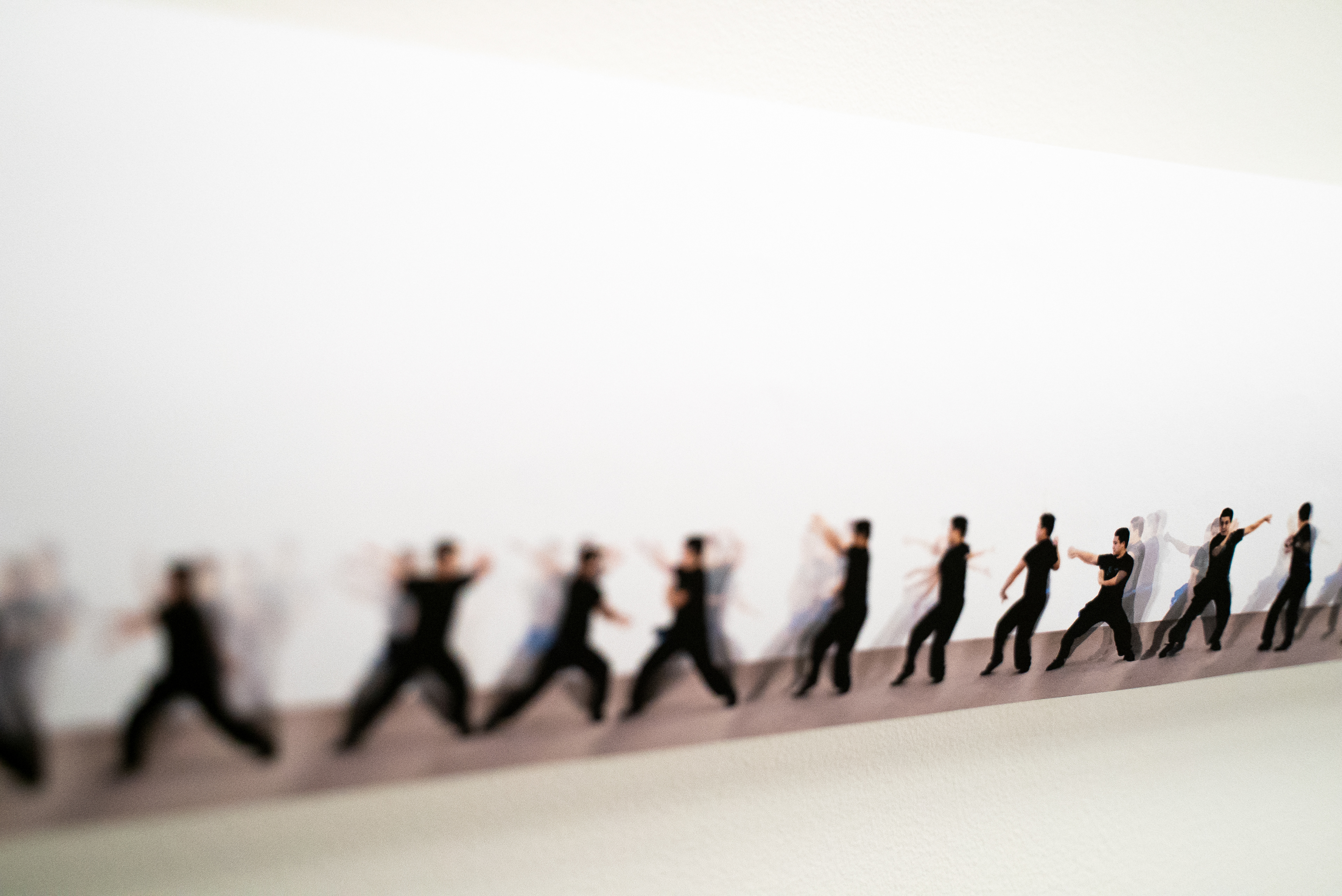 Close Up 2 - 蔡李佛 - 小平拳 with Chris Gia Hoang – Human Locomotion, 2019