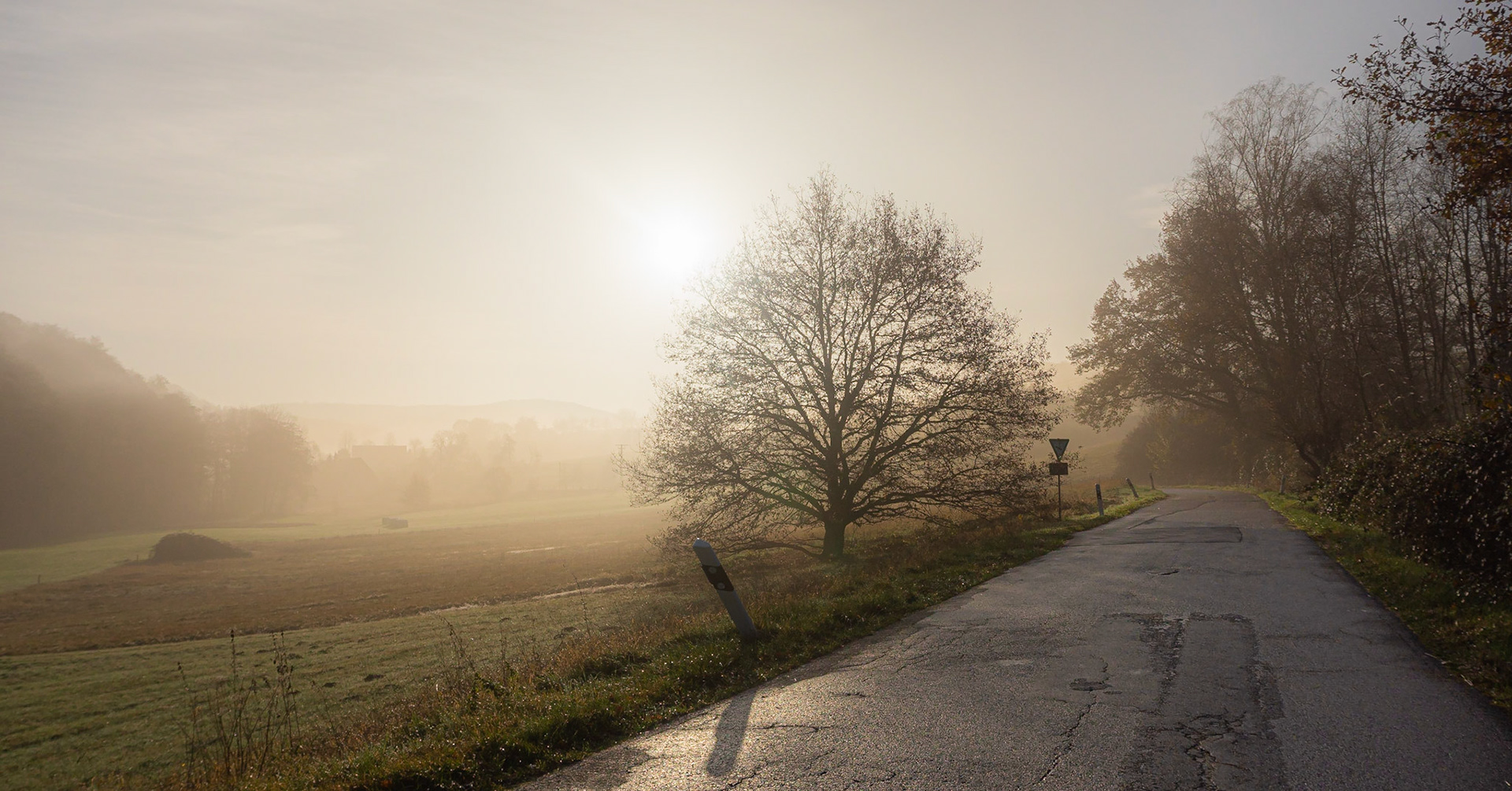 Fog over the fields