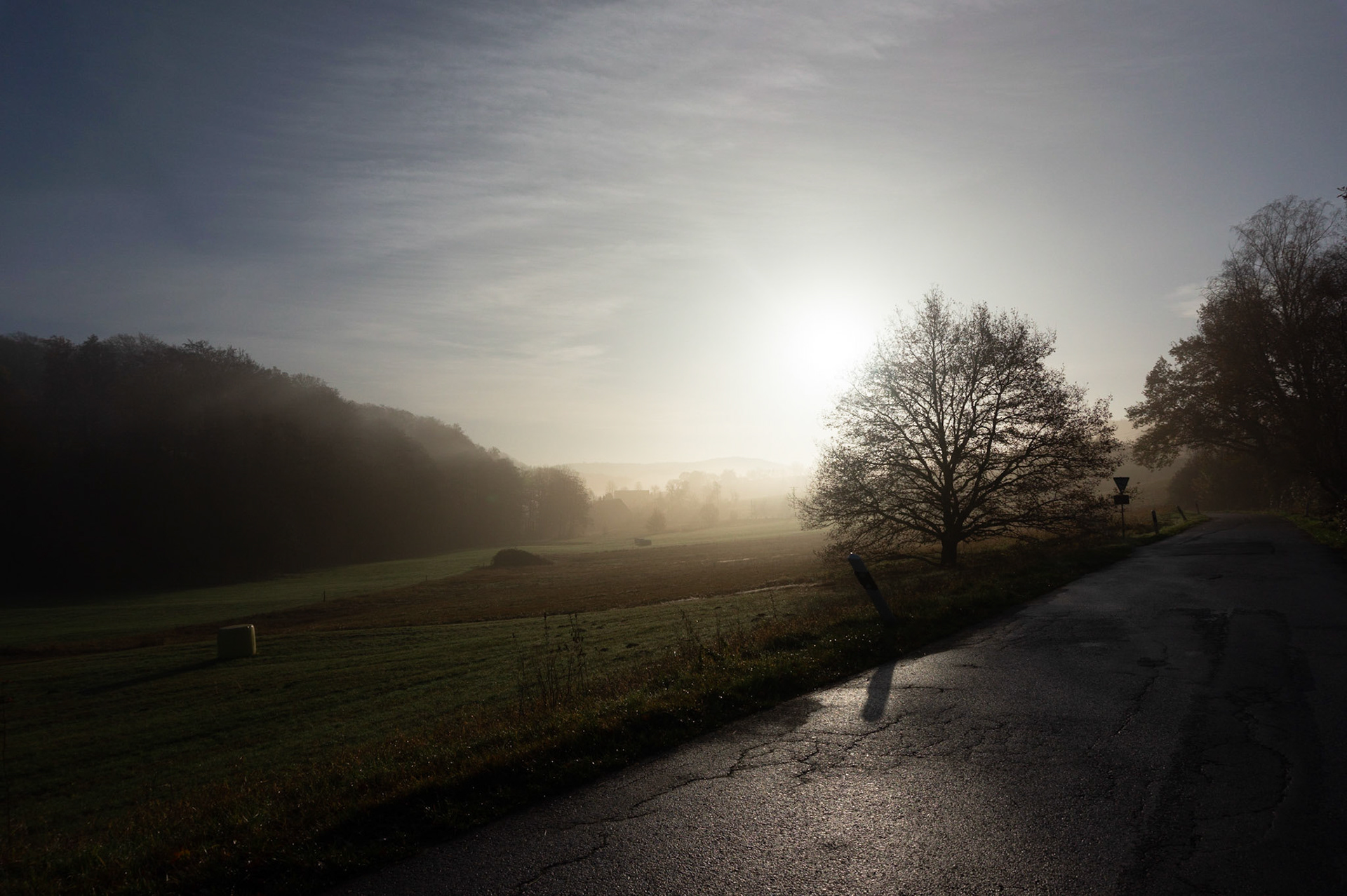Fog over the fields