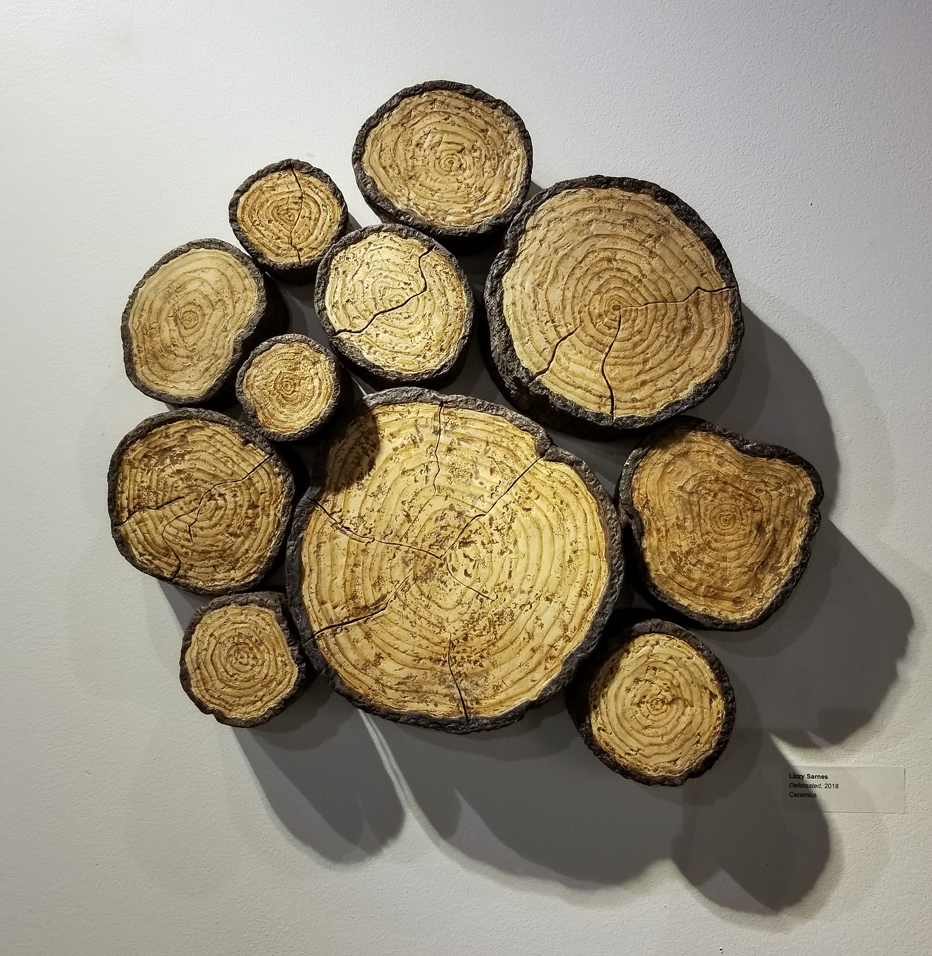 "Deforested," ceramics & mixed media