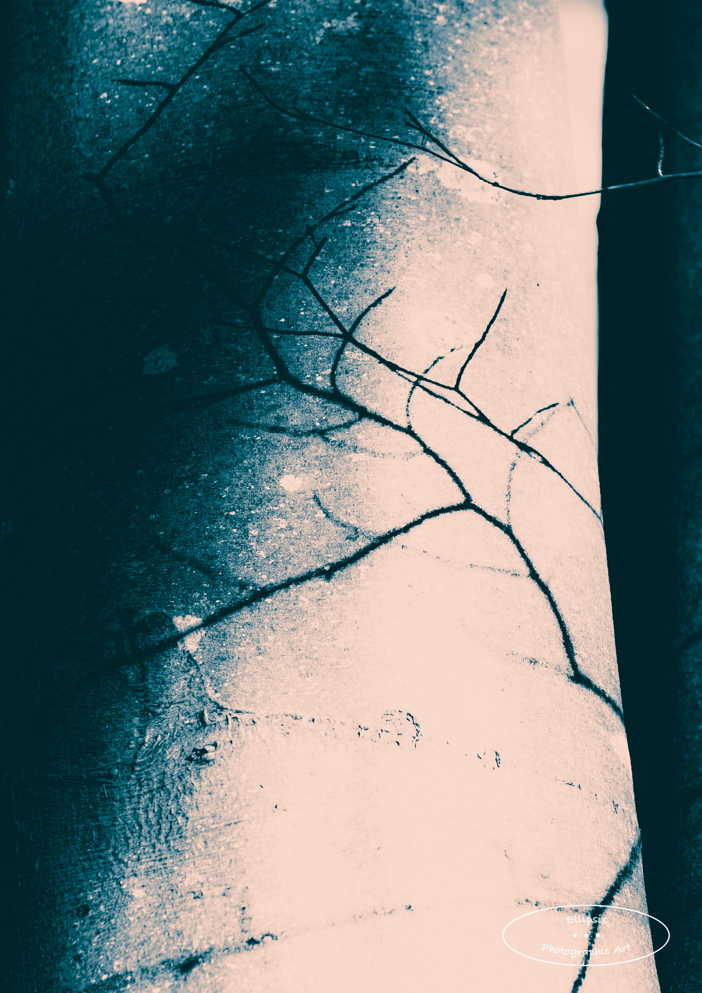 Winter of Shadows III (A)