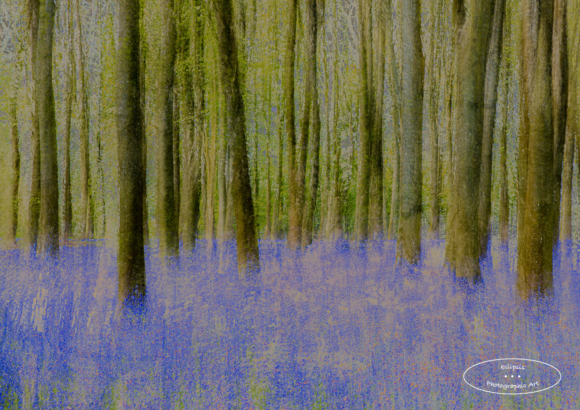 Full Spring (A)