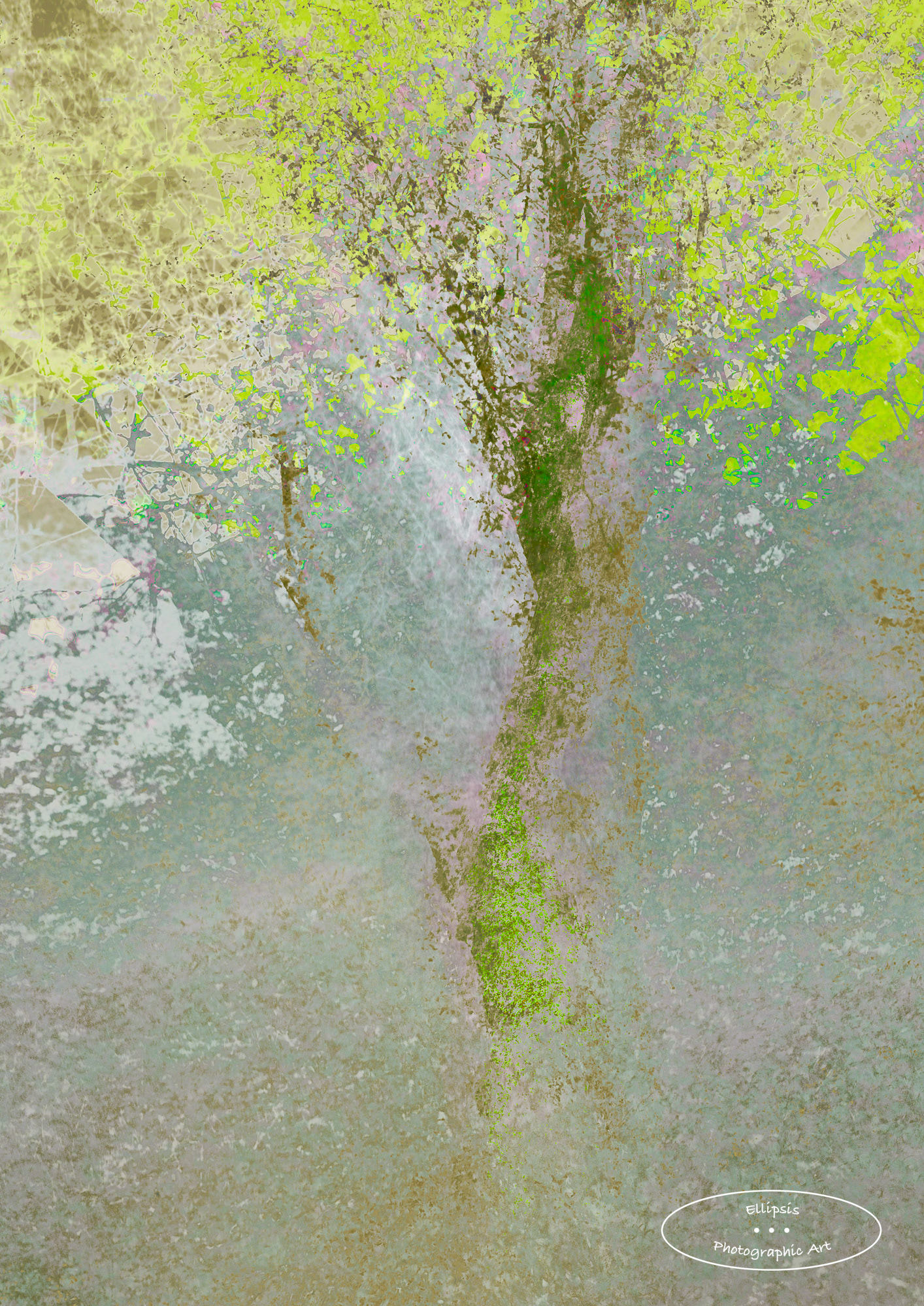 (Un)Changing - Spring (D)