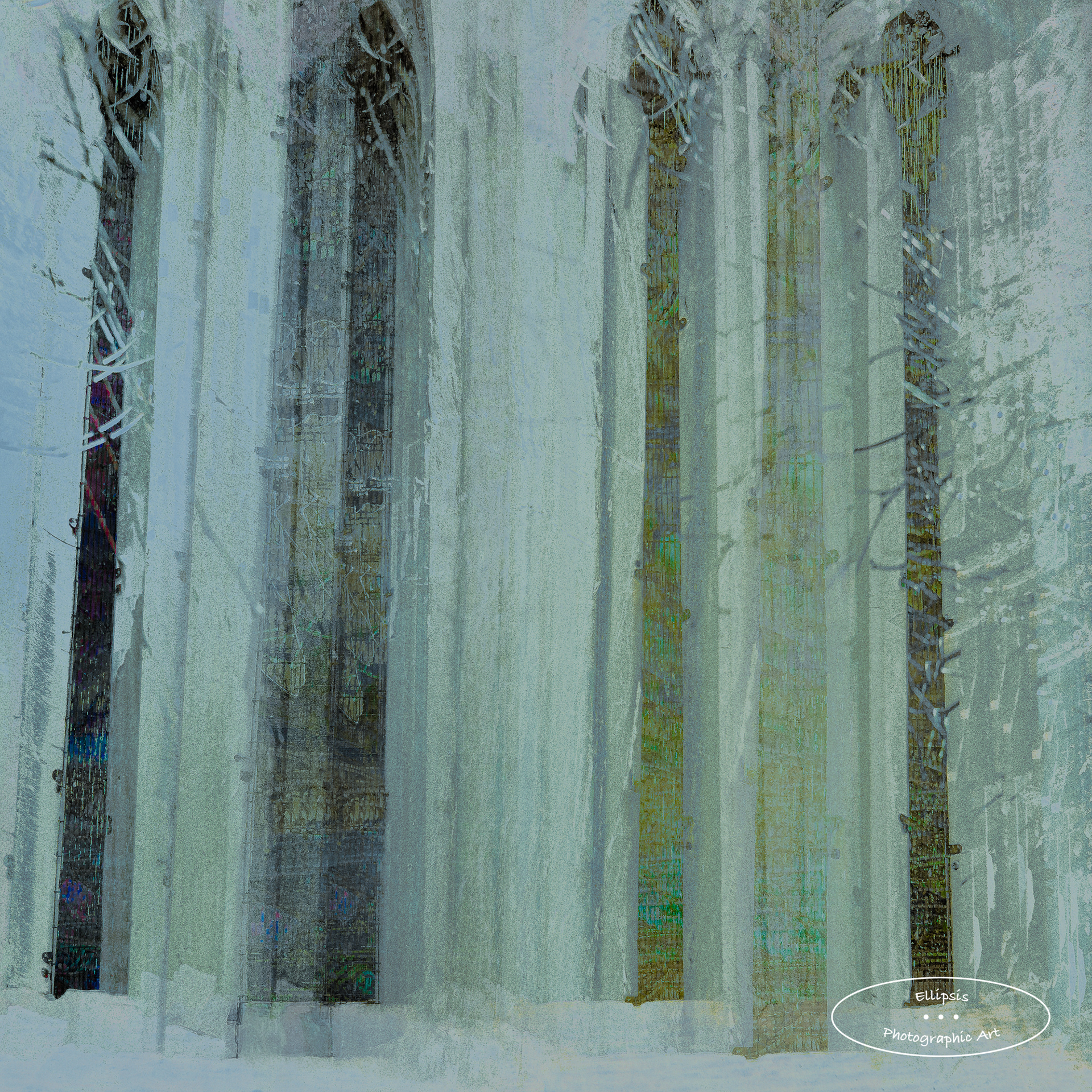 Cathedral in the Woods (B)