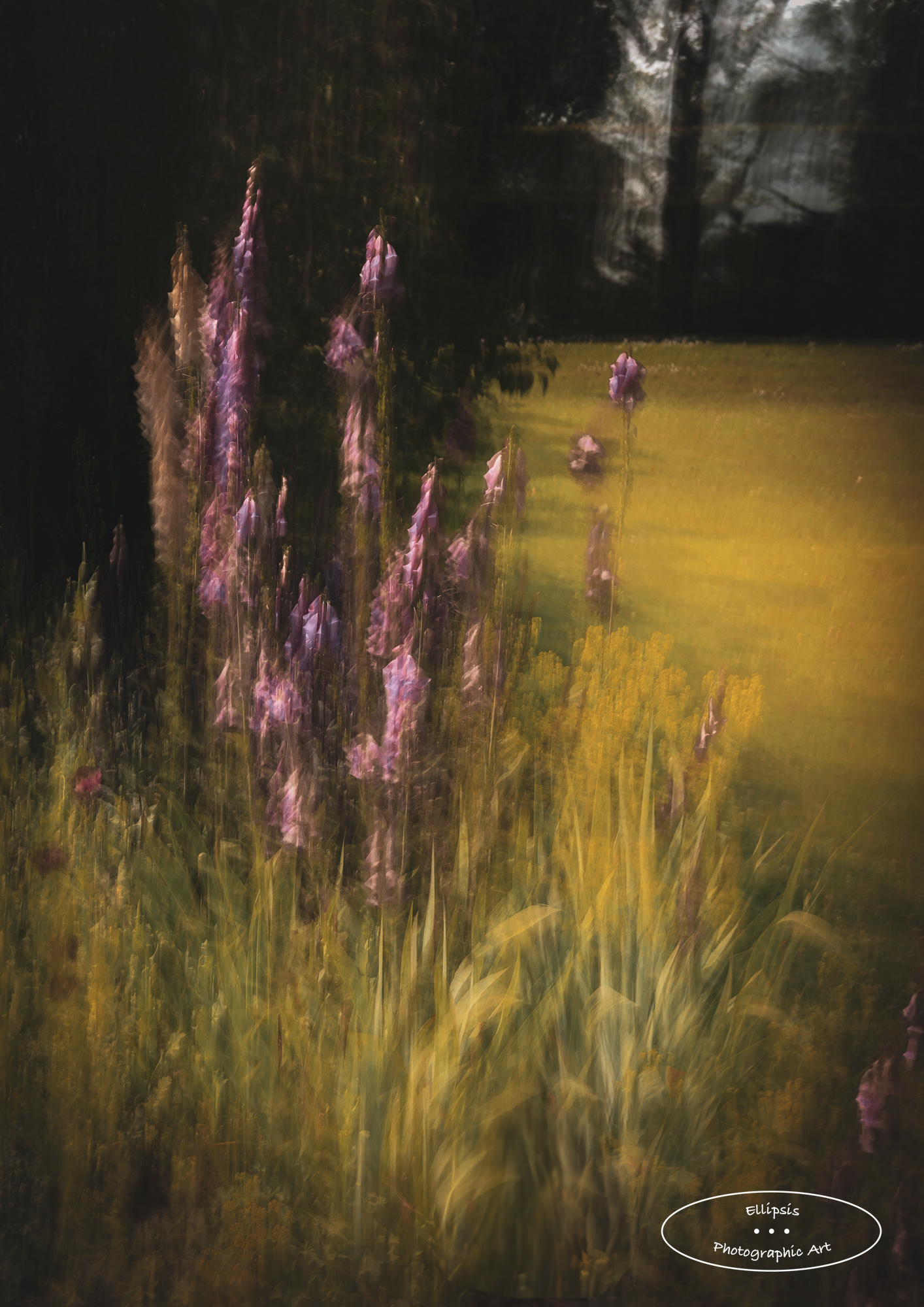 An English Country Garden (A)
