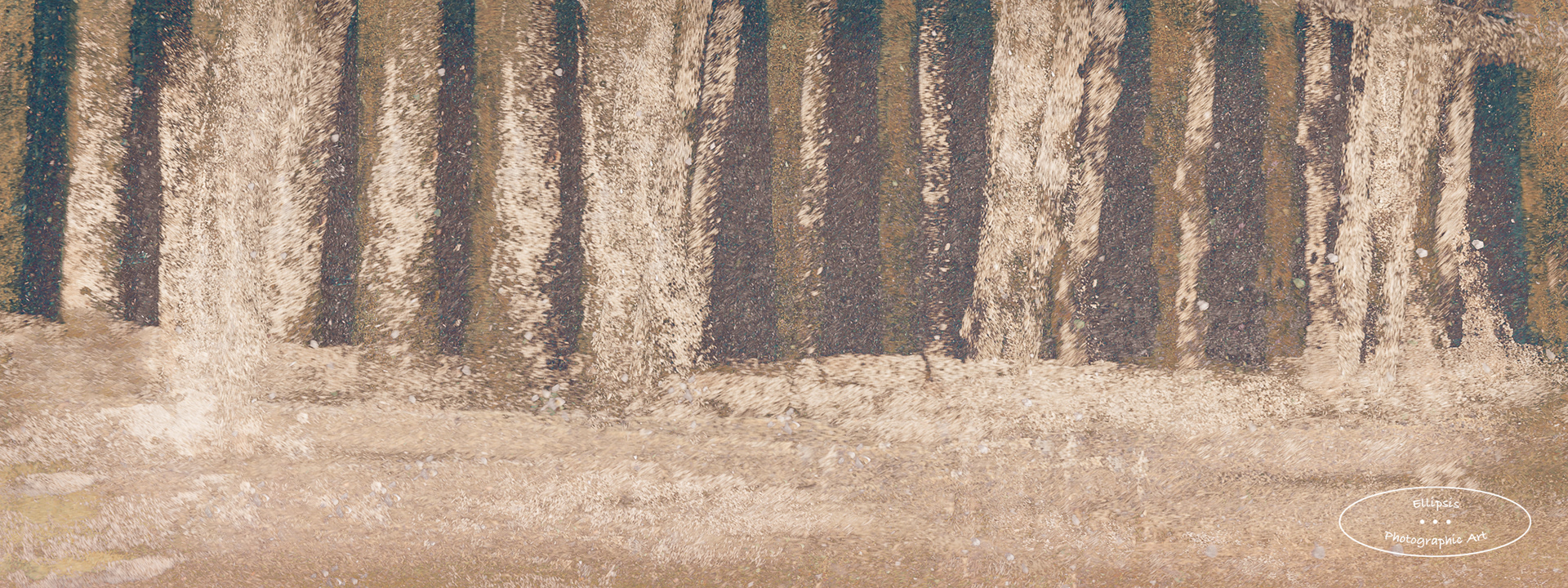 If On A Winter's Night (C)