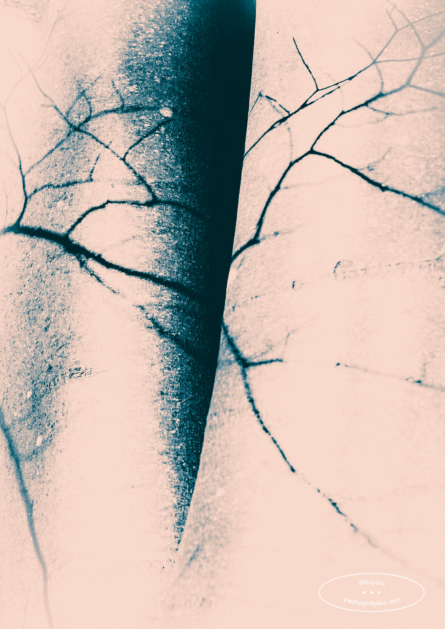 Winter of Shadows I (A)