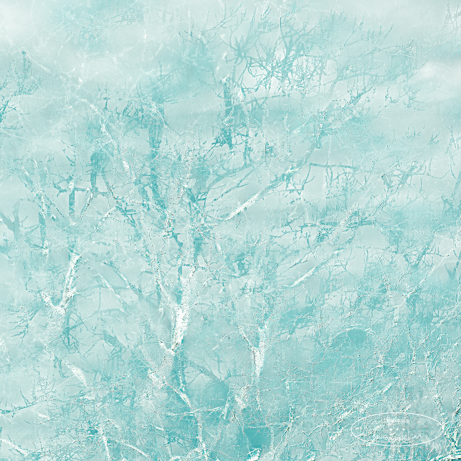 Echoes of Winter (E)