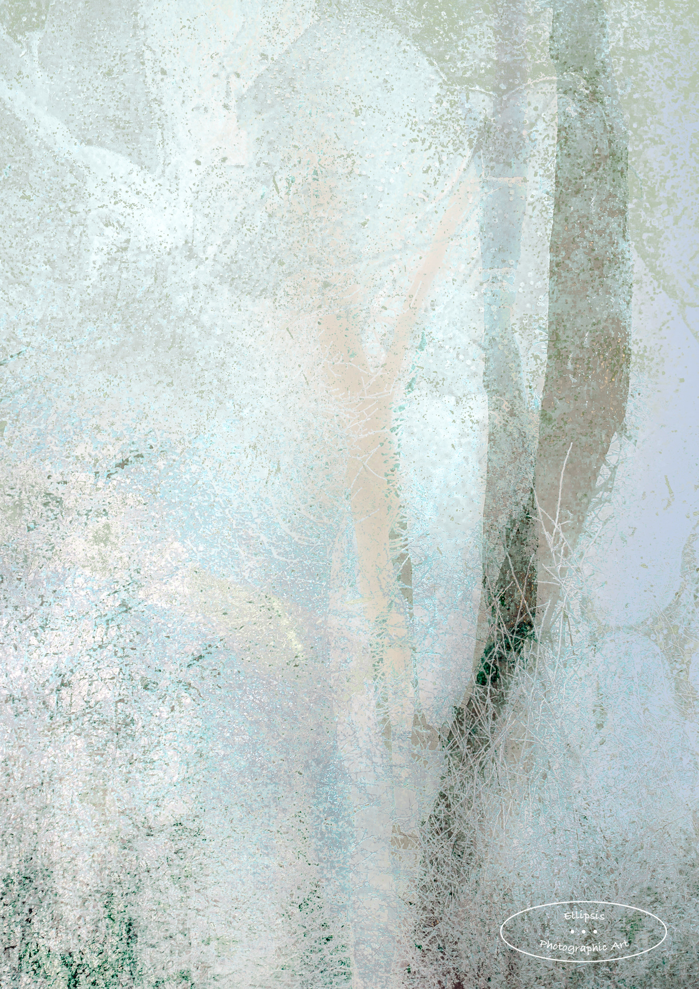 Frost & Fog (A)