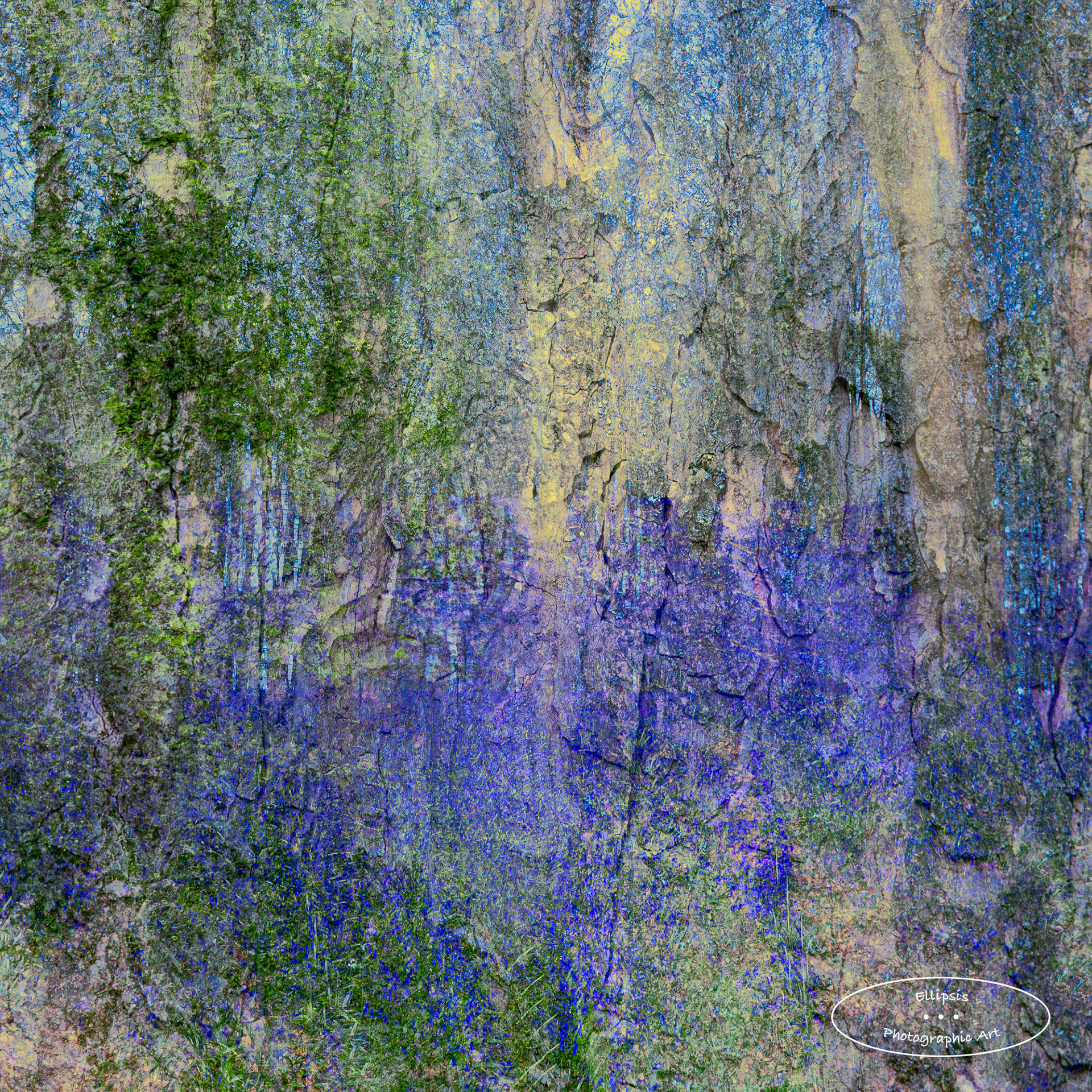 Blue Haze (B)