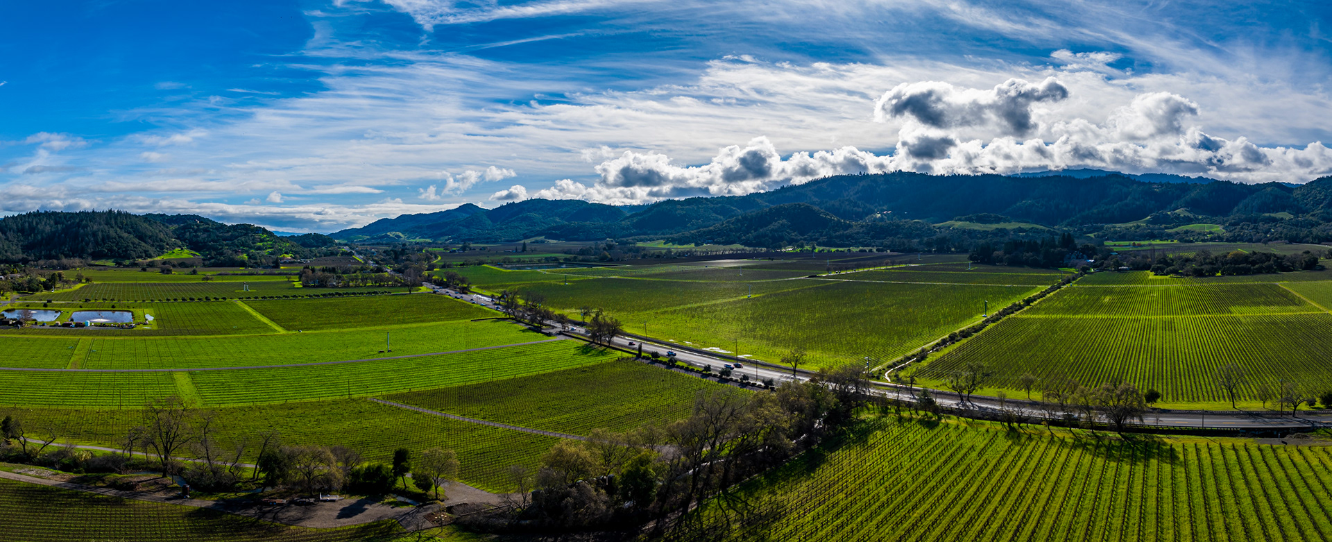 Napa Valley