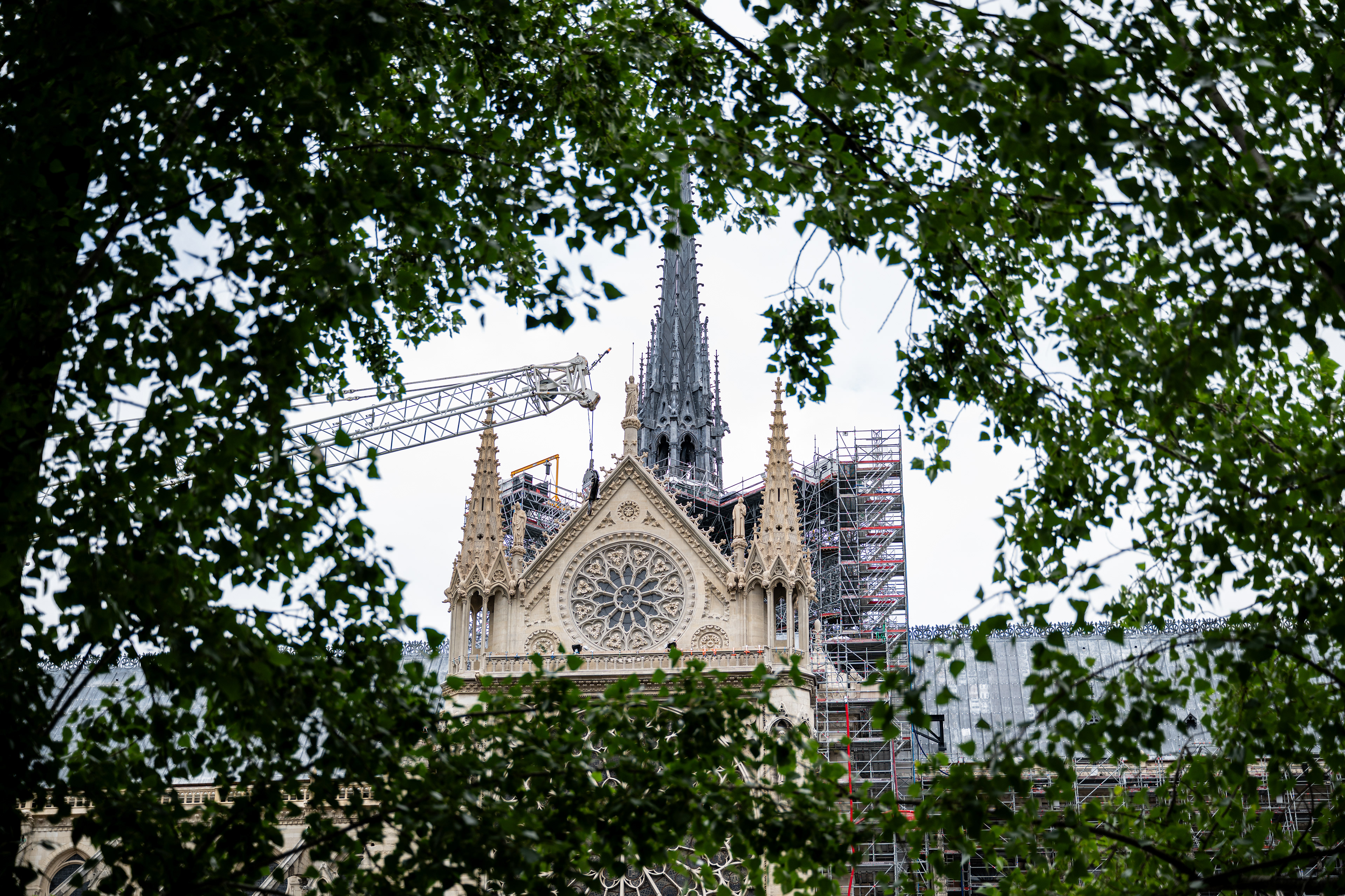 Notre Dame, Paris