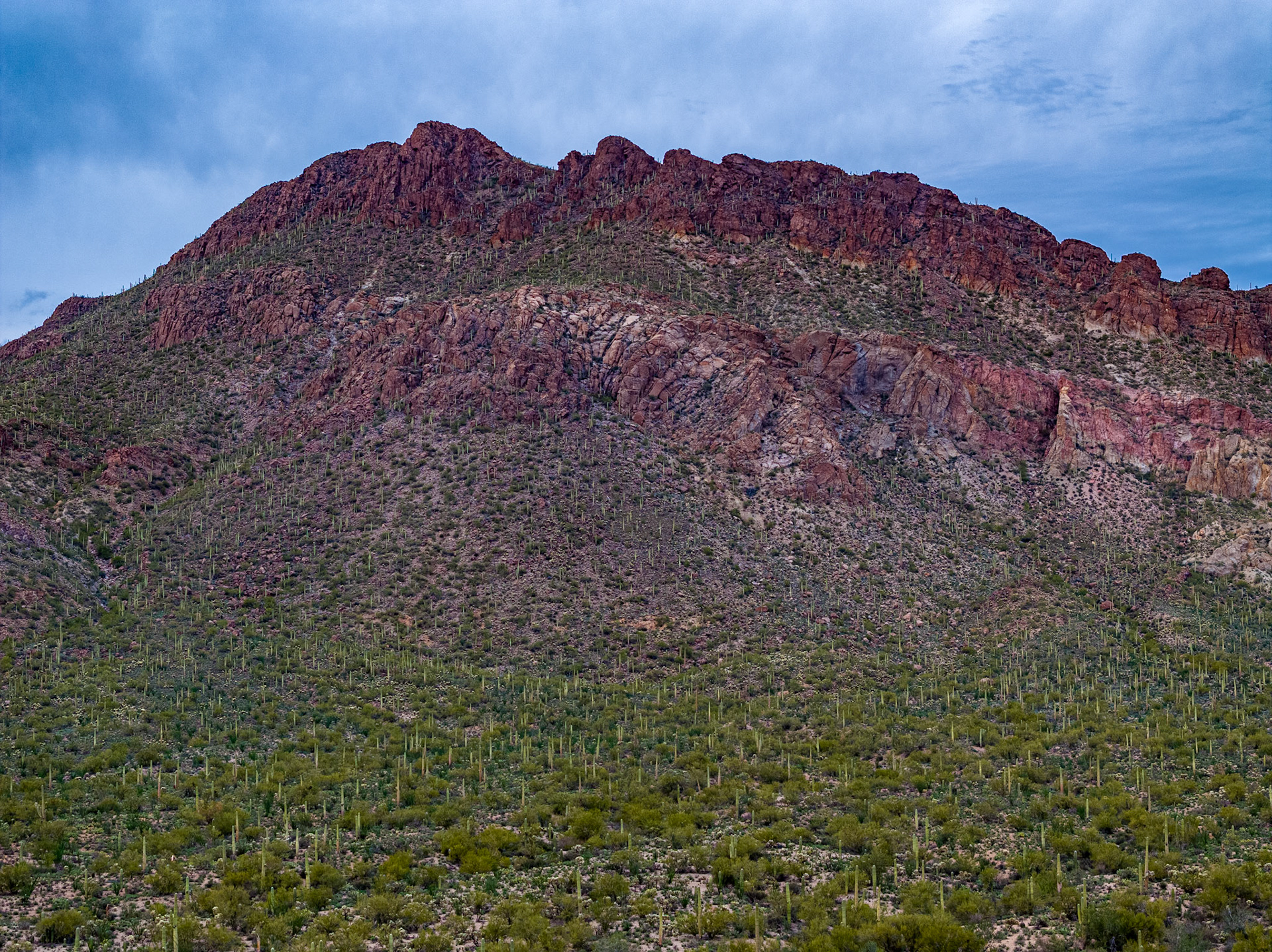 Tucson, Arizona