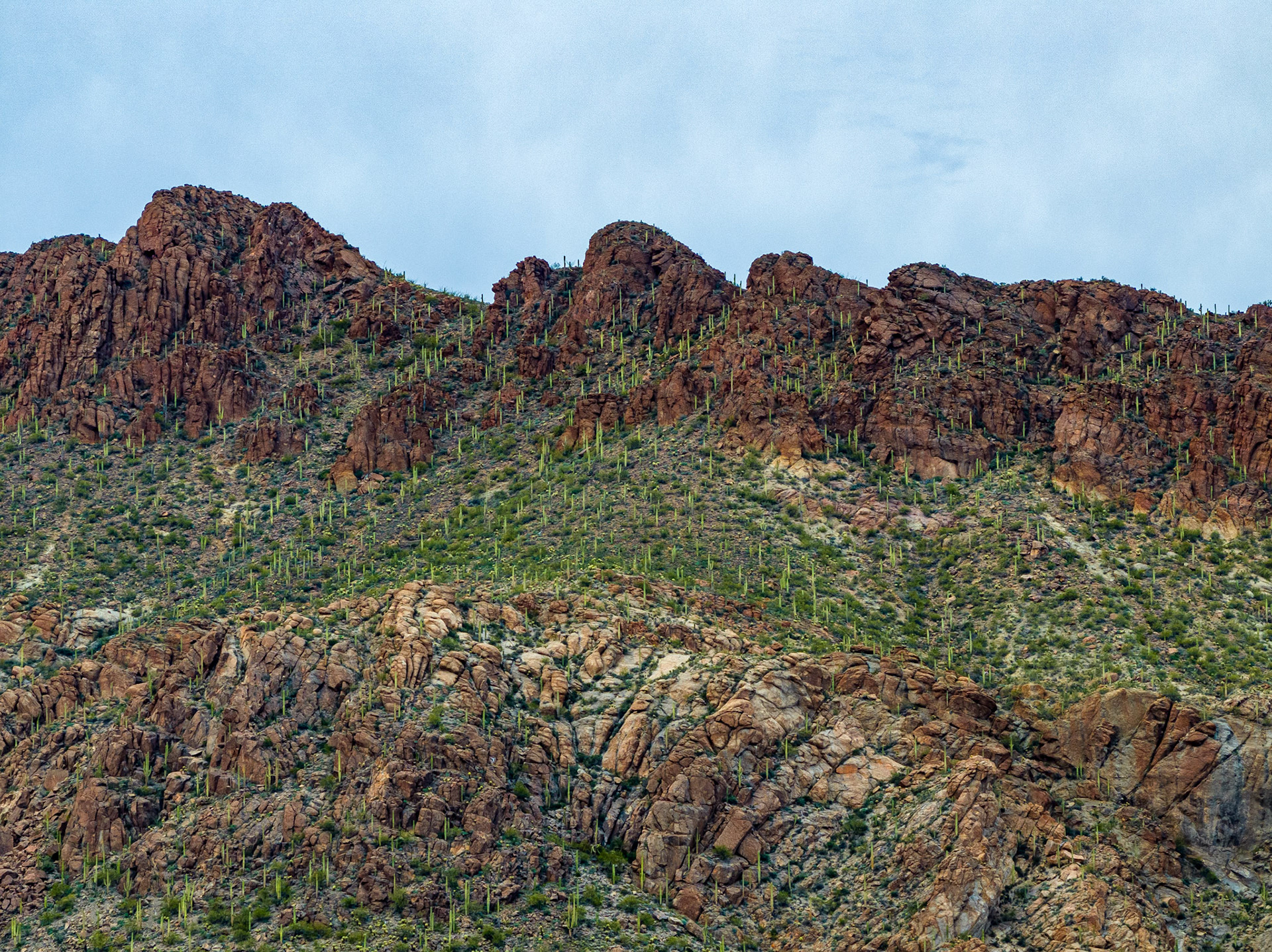 Tucson, Arizona