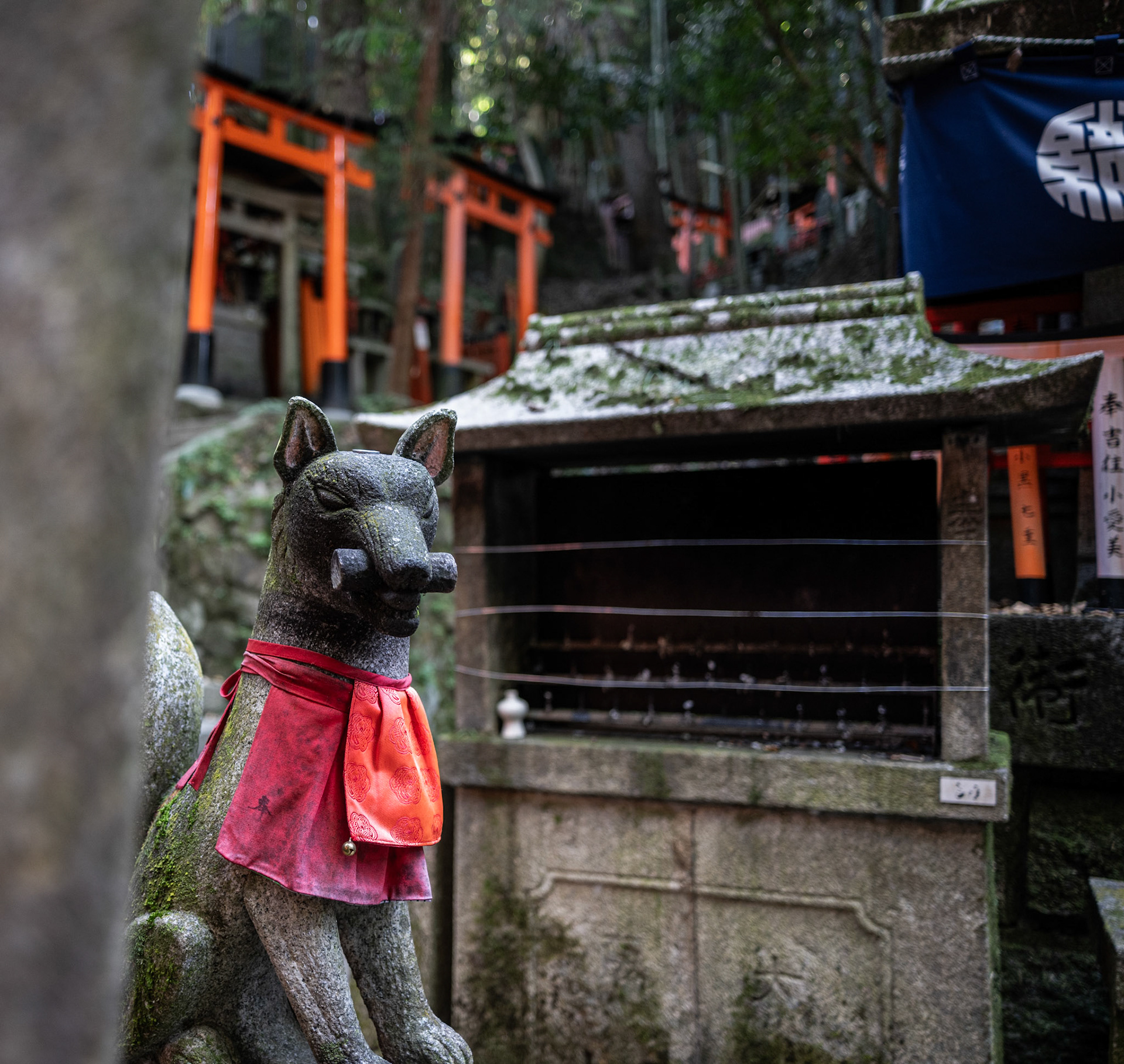 Fushimi Inari Taisha