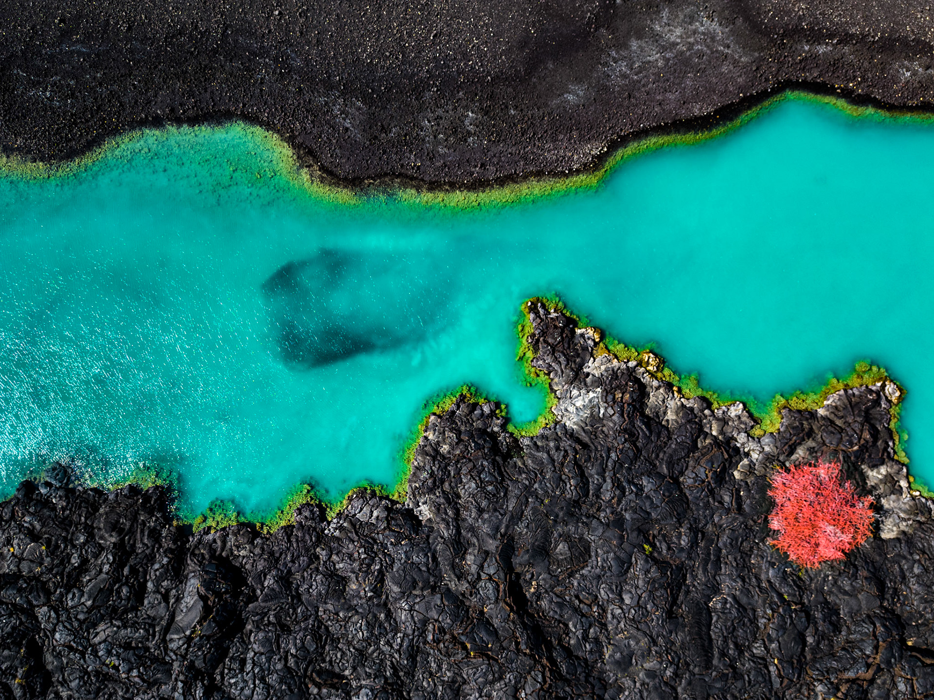 Hawai'i
