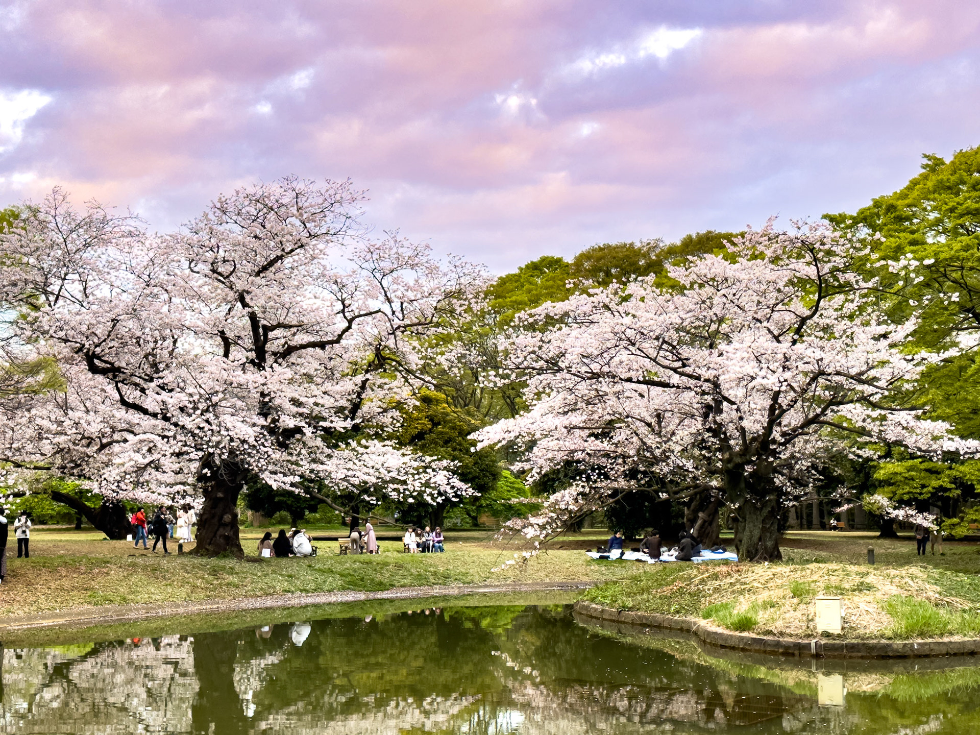 Ueno Park, Tokyo