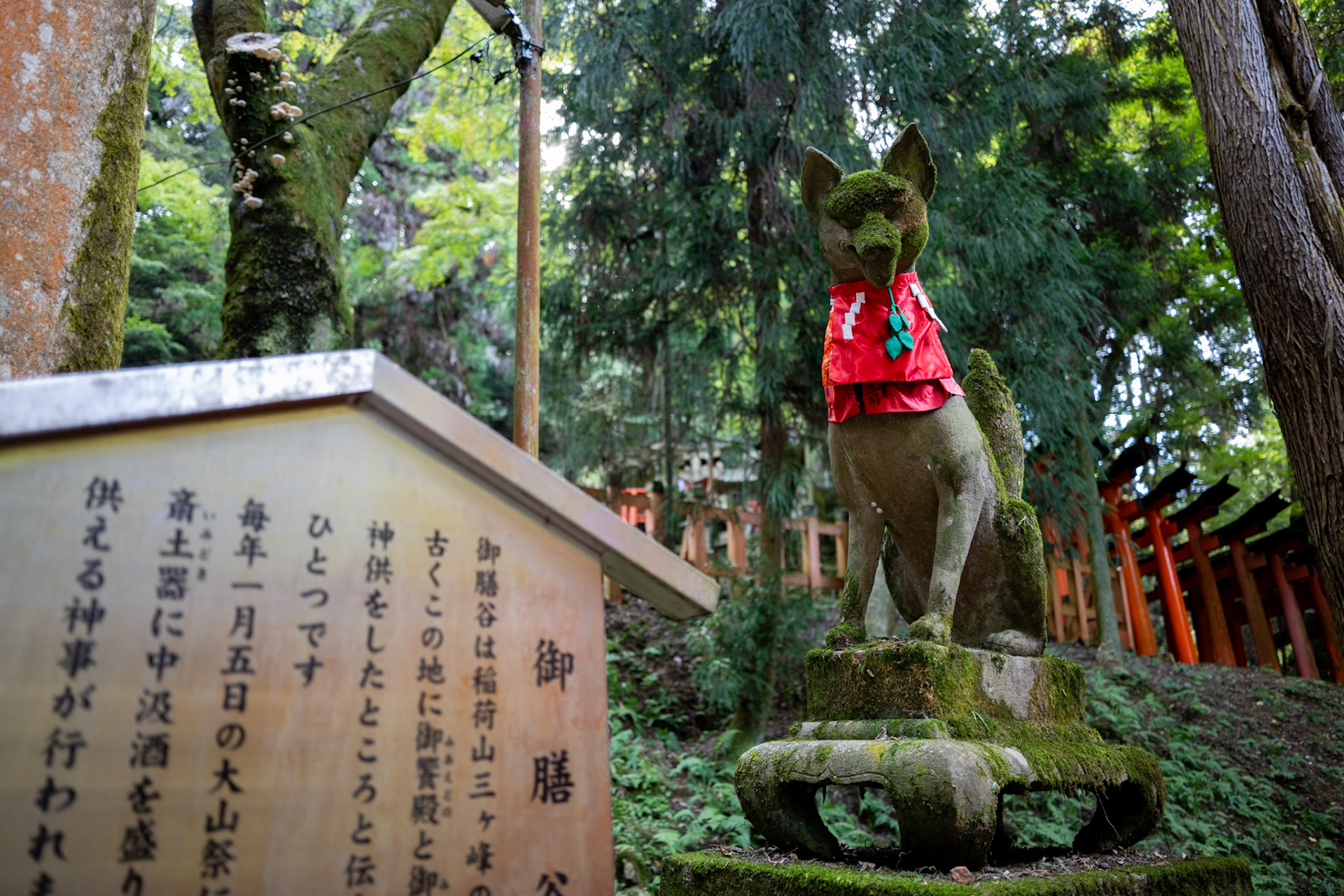 Fushimi Inari Taisha