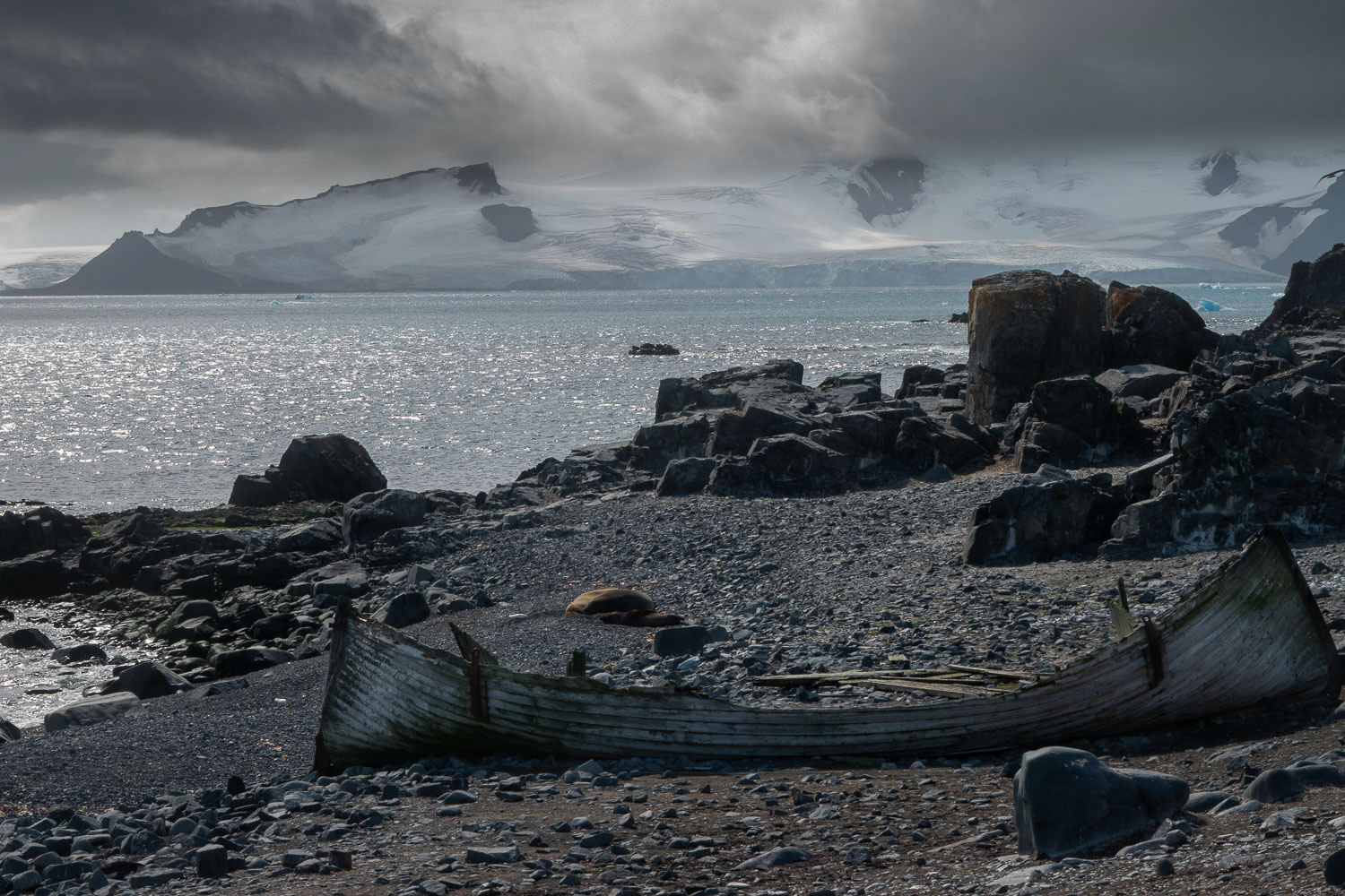 half moon island - orcades du sud