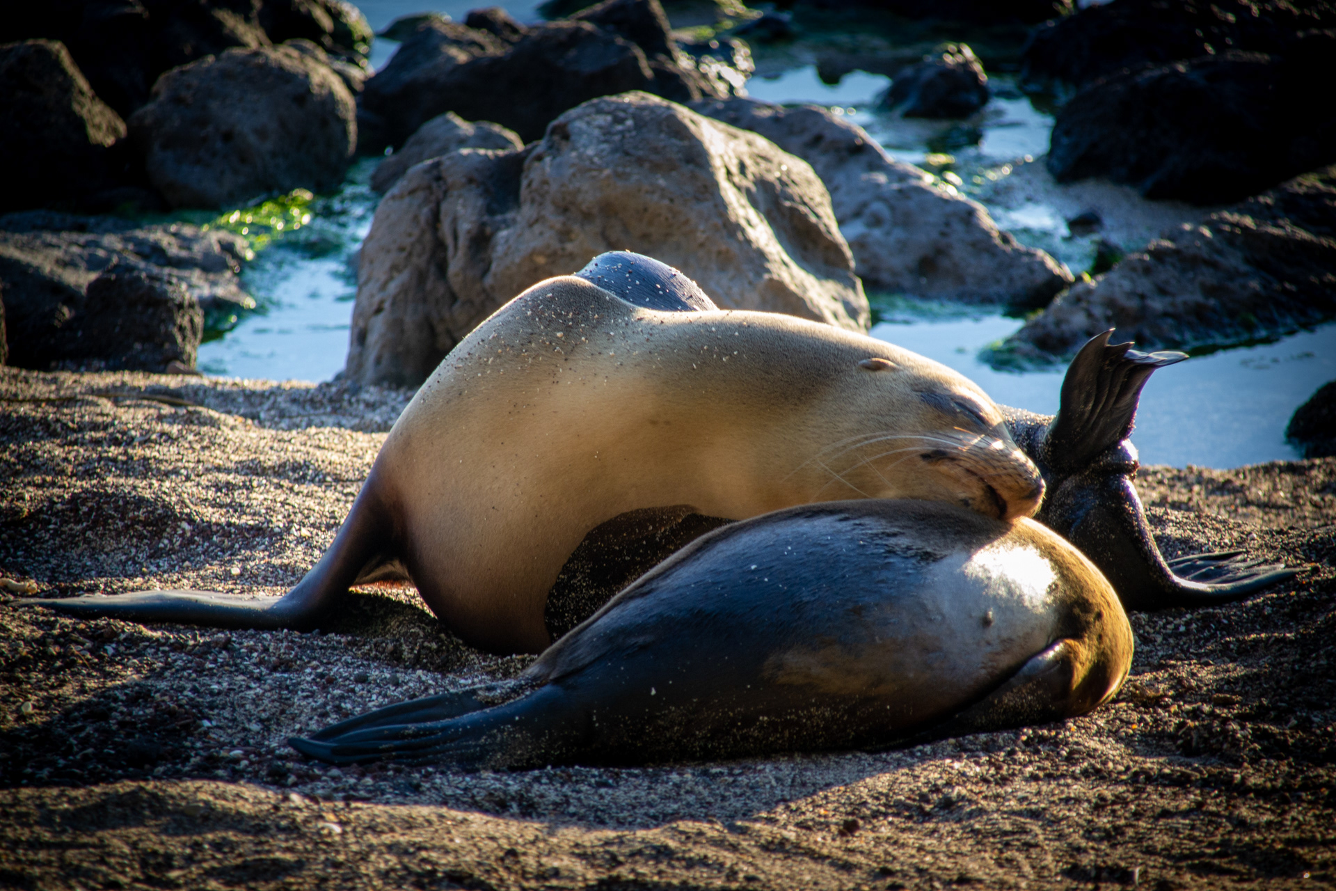 San Cristobal - Galápagos
