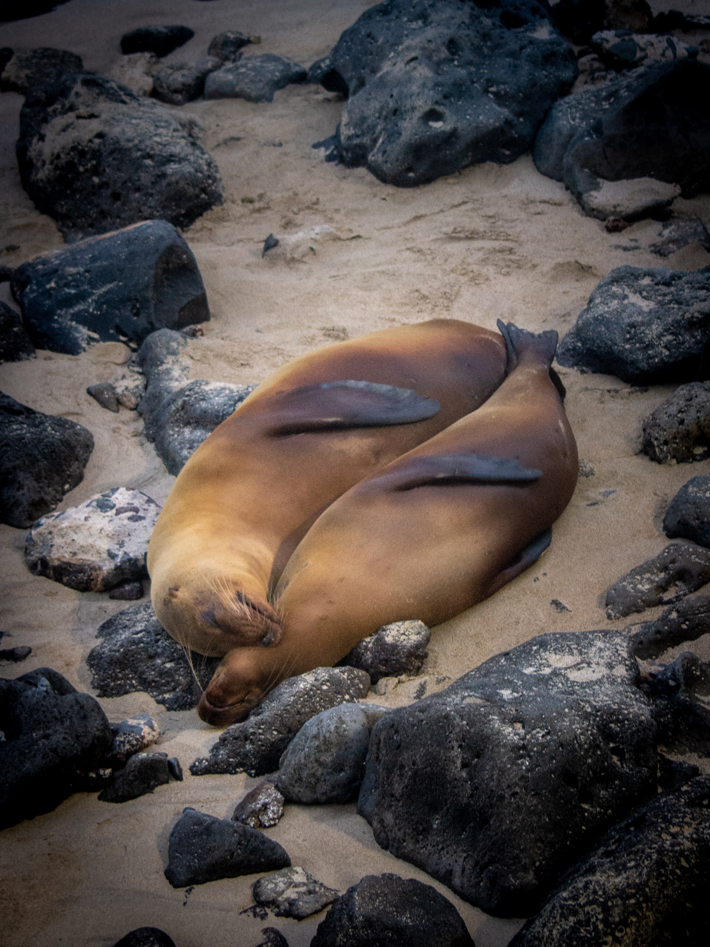 San Cristobal - Galápagos
