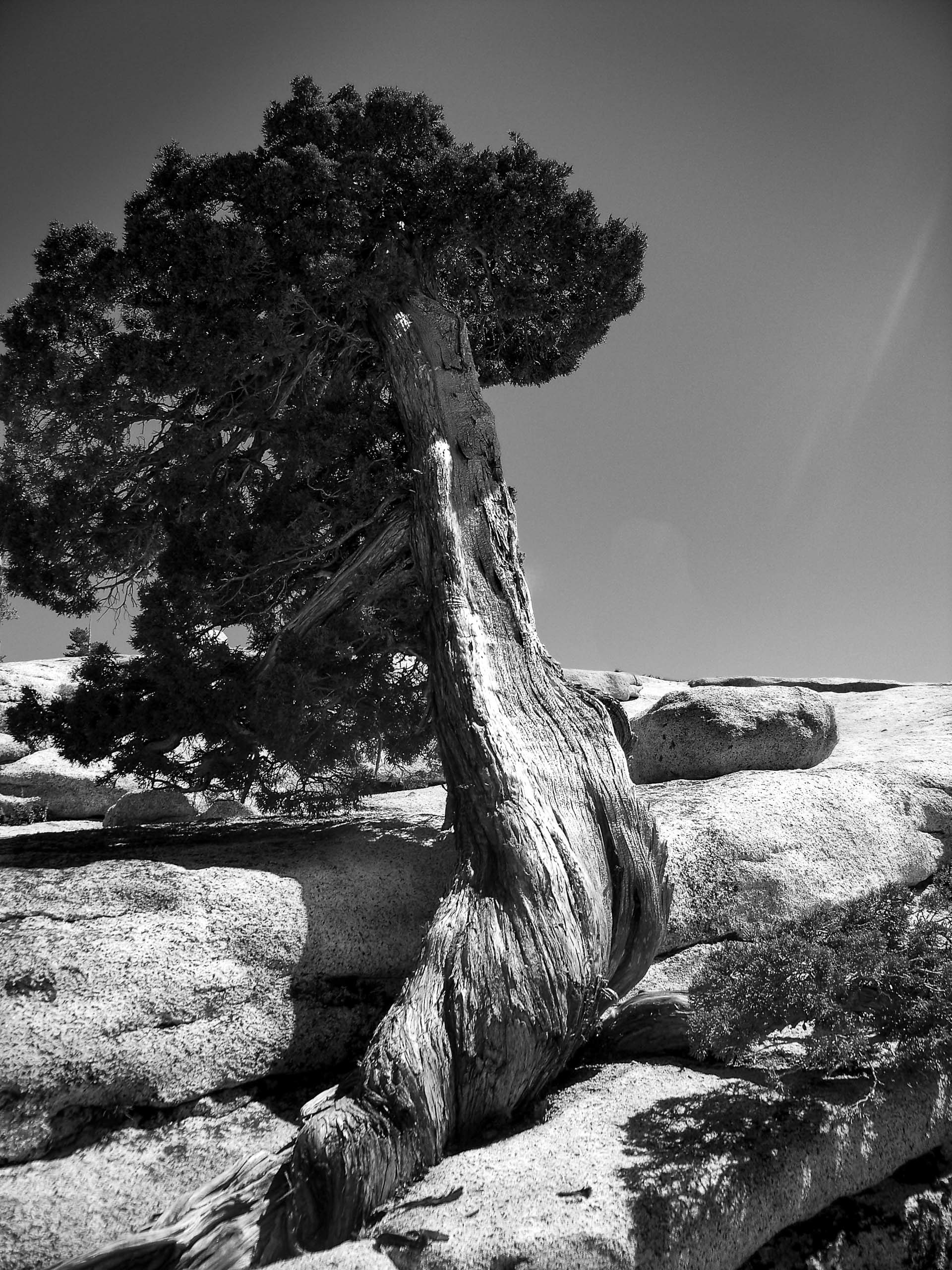 Yosemite - Etats Unis