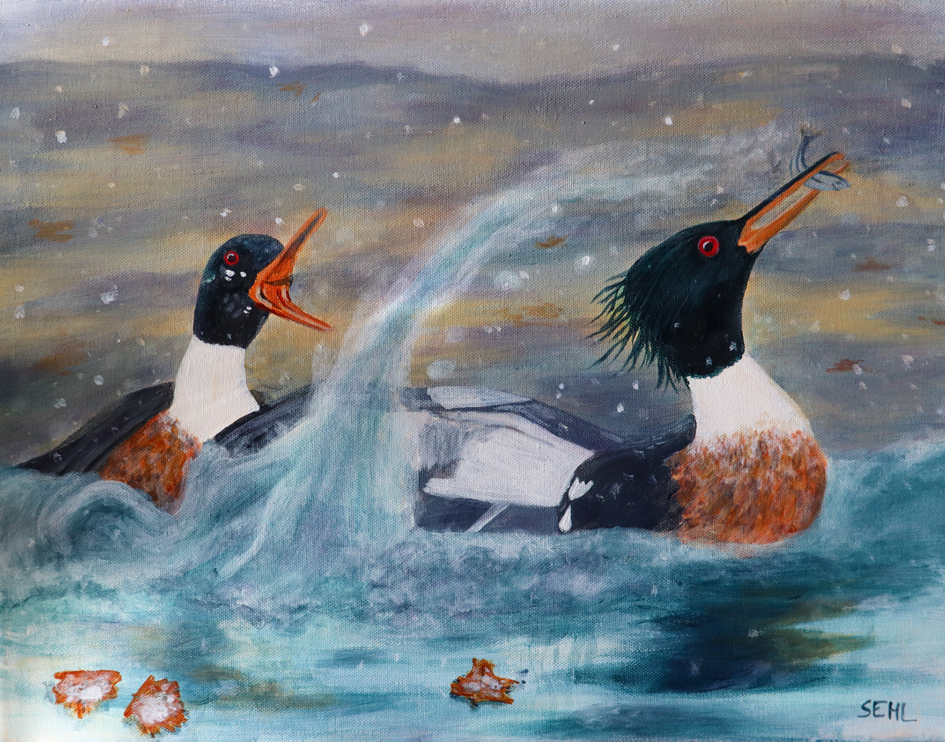 Red-Breasted Mergansers - Acrylic on canvas - 2026