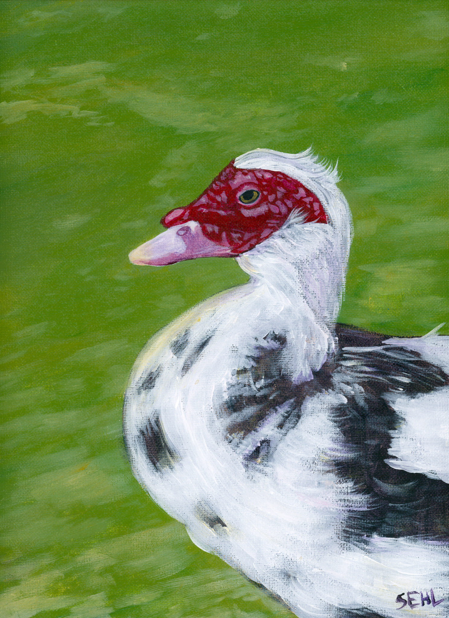 Duck - Acrylic on canvas board 2025