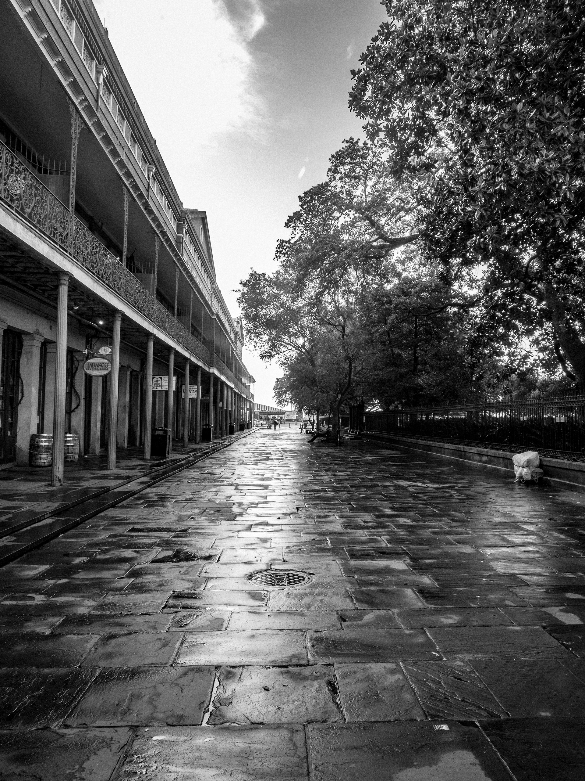 Jackson Square Morning