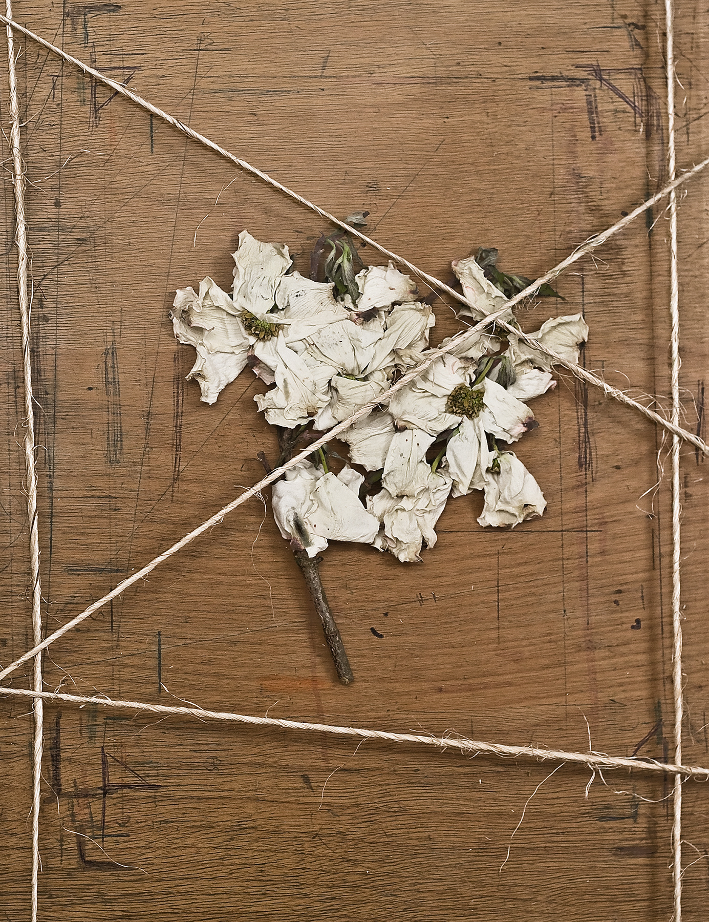 Floral Arrangements V2 - PH101_V2